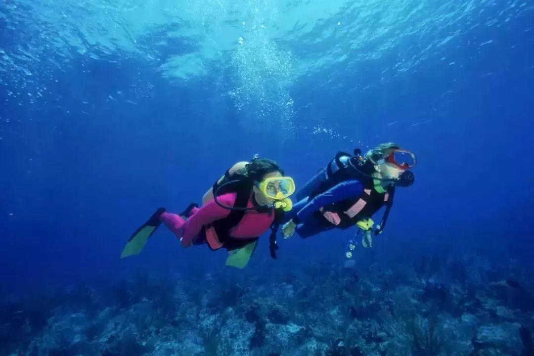 孤岛惊魂5